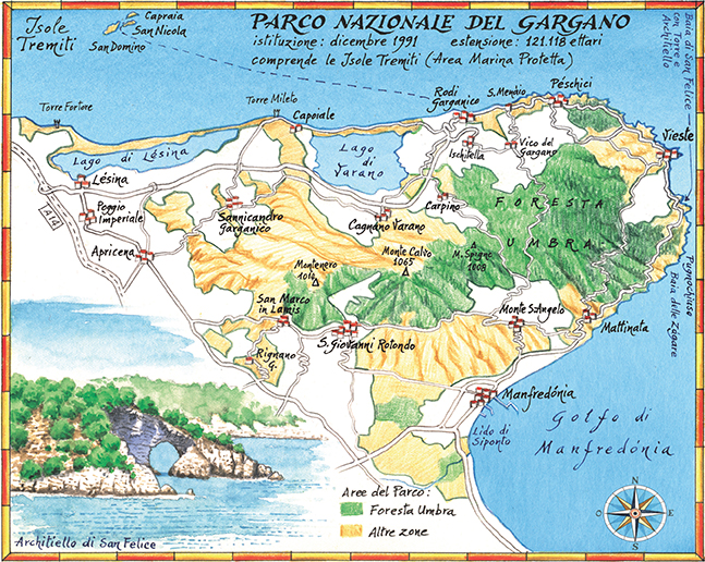 Parco Gargano bd
